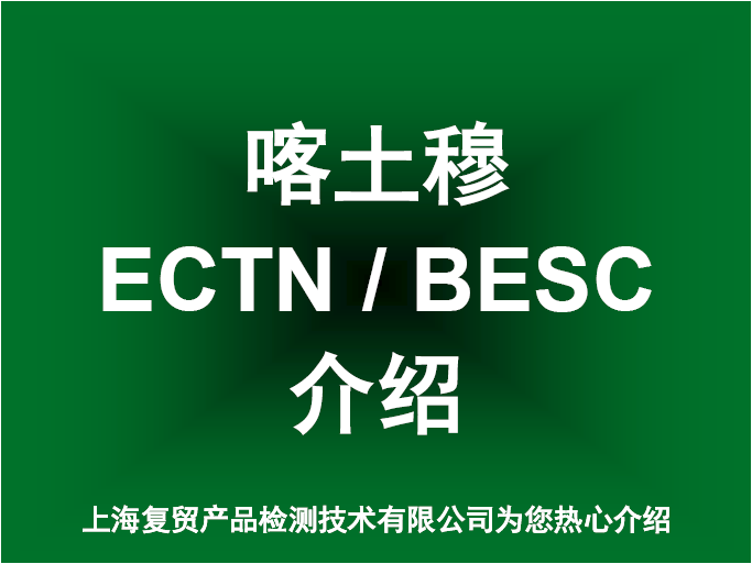 喀土穆BESC跟踪单